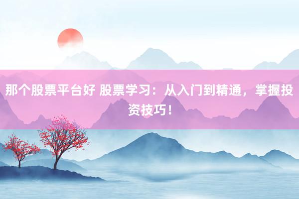 那个股票平台好 股票学习：从入门到精通，掌握投资技巧！