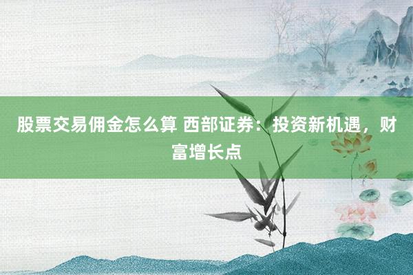 股票交易佣金怎么算 西部证券：投资新机遇，财富增长点