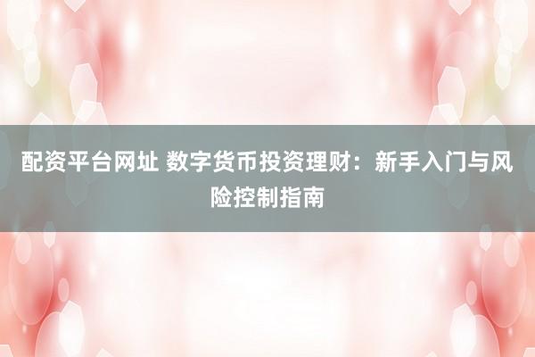 配资平台网址 数字货币投资理财：新手入门与风险控制指南