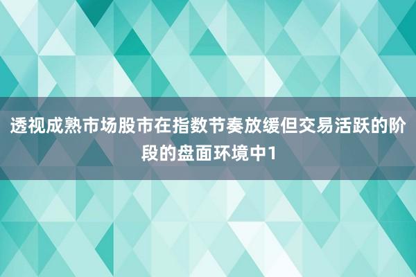 透视成熟市场股市在指数节奏放缓但交易活跃的阶段的盘面环境中1