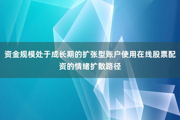 资金规模处于成长期的扩张型账户使用在线股票配资的情绪扩散路径