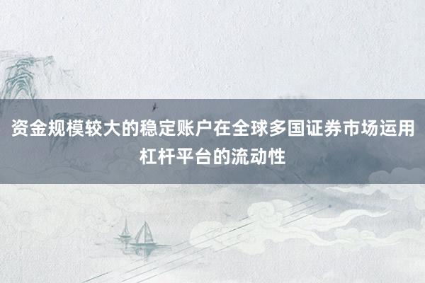 资金规模较大的稳定账户在全球多国证券市场运用杠杆平台的流动性