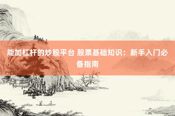 能加杠杆的炒股平台 股票基础知识：新手入门必备指南