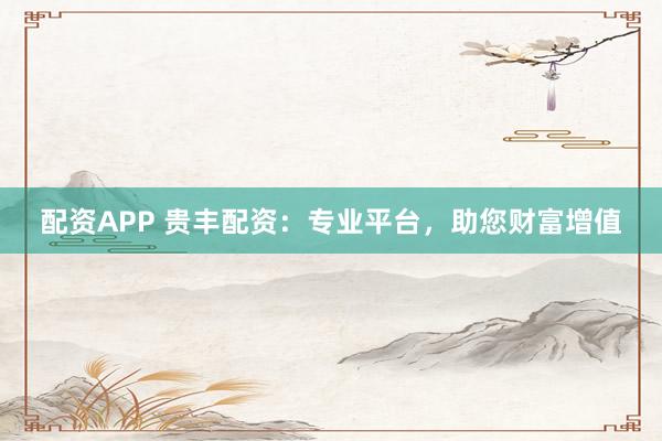 配资APP 贵丰配资：专业平台，助您财富增值