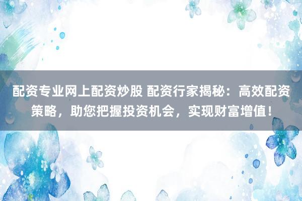 配资专业网上配资炒股 配资行家揭秘：高效配资策略，助您把握投资机会，实现财富增值！