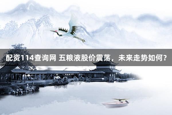 配资114查询网 五粮液股价震荡，未来走势如何？