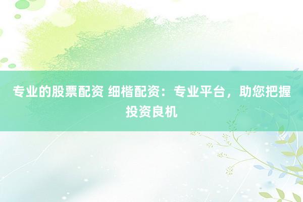 专业的股票配资 细楷配资:专业平台,助您把握投资良机