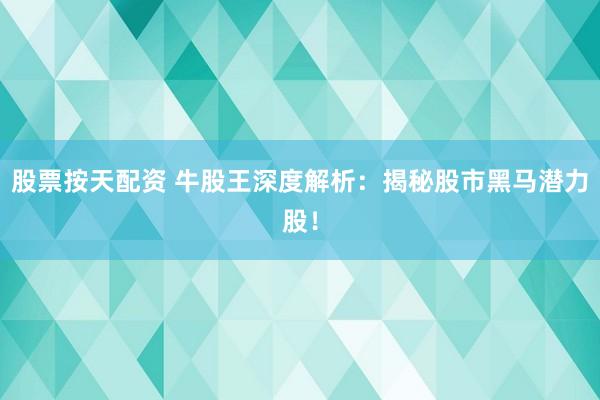 股票按天配资 牛股王深度解析：揭秘股市黑马潜力股！
